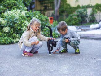 Kids with cat