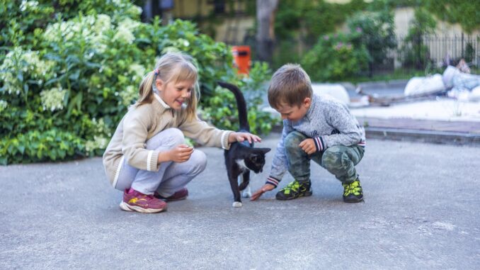 Kids with cat