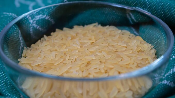 Rice